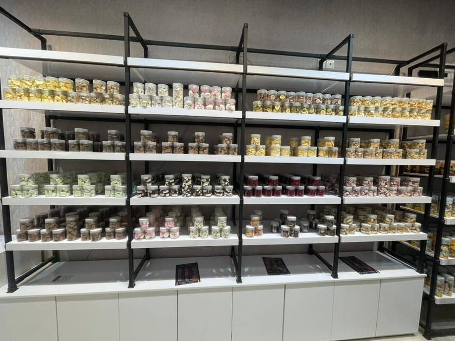 آیس درای انزلی