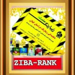 نمایندگی پخش زیبارنگ رشت