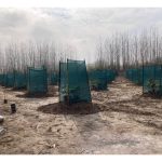 توری سایبان و شید گلخانه بابل