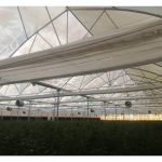 توری سایبان و شید گلخانه بابل