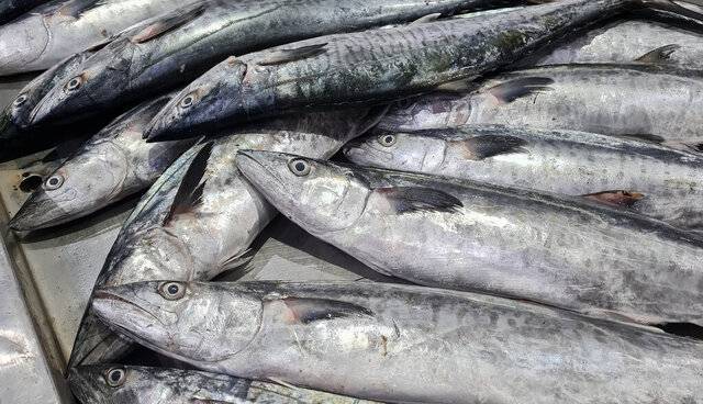 بهترین کسب و کارها در استان گیلان،بهترین کسب و کارهای استان گیلان،اشنایی با 9 تا از بهترین کسب و کارها در استان گیلان در سامانه برترین مشاغل