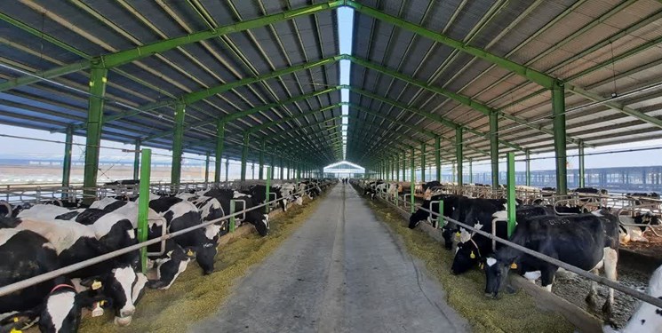 بهترین کسب و کارها در استان گیلان،بهترین کسب و کارهای استان گیلان،اشنایی با 9 تا از بهترین کسب و کارها در استان گیلان در سامانه برترین مشاغل