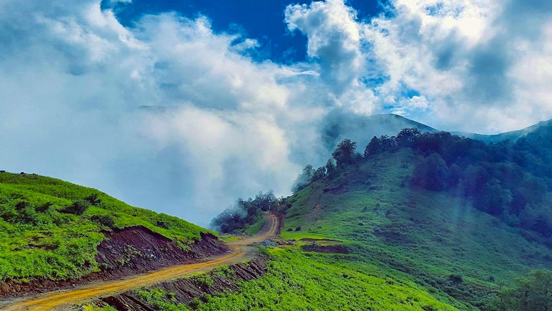 بهترین کسب و کارها در استان گیلان،بهترین کسب و کارهای استان گیلان،اشنایی با 9 تا از بهترین کسب و کارها در استان گیلان در سامانه برترین مشاغل