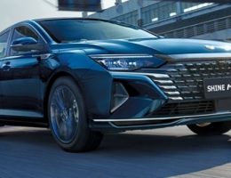 شاین مکس،دانگ فنگ شاین مکس،مشخصات و بررسی شاین مکس سامانه برترین مشاغل