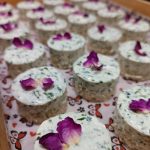 فست فود پاتوق زیباکنار