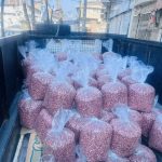 فروشگاه برنج و بادام پورداداشی آستانه اشرفیه