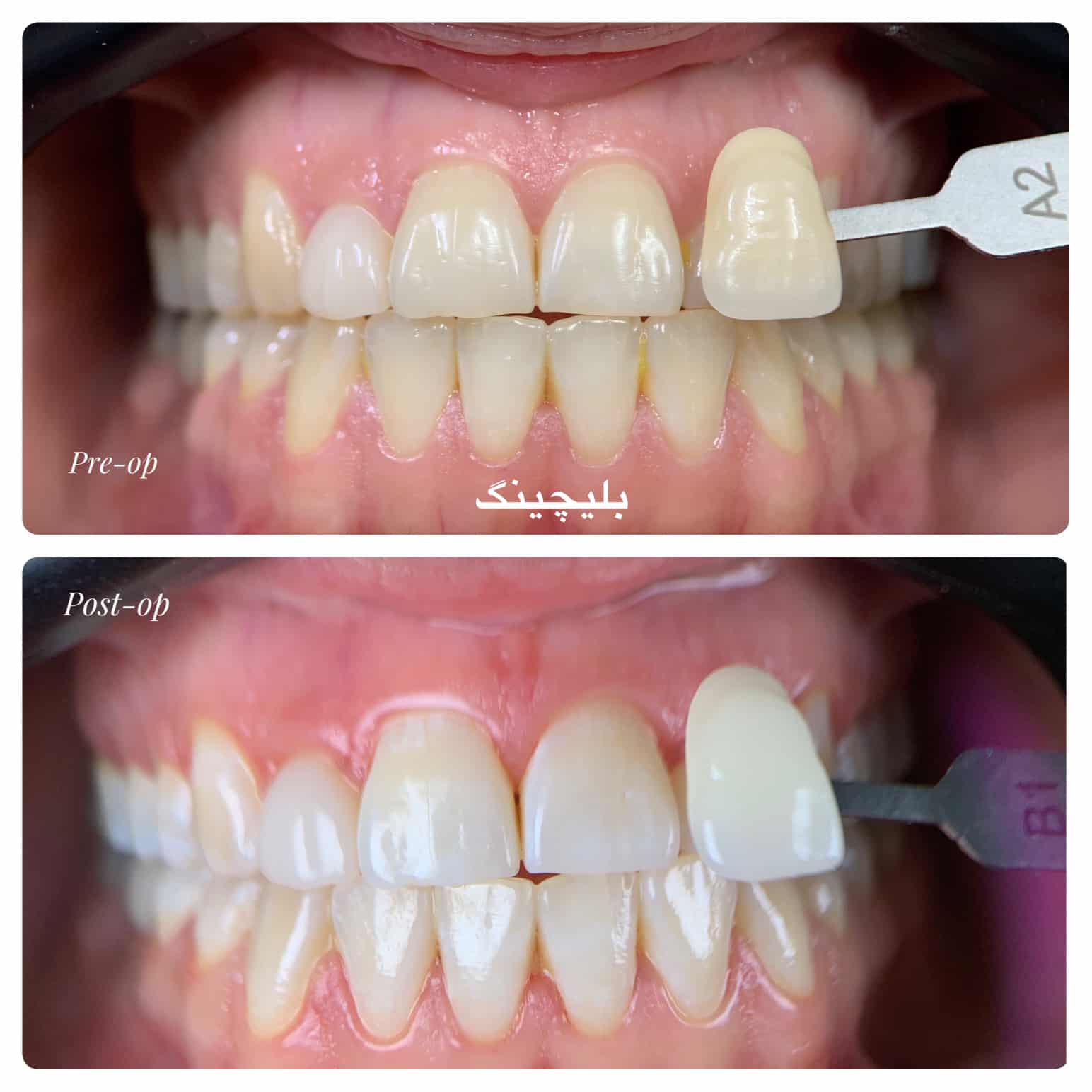 کلینیک تخصصی دندانپزشکی دکتر مجید سمائی تربت حیدریه،کلینیک تخصصی دندانپزشکی دکتر مجید سمائی در تربت حیدریه،مشاهده اطلاعات کلینیک تخصصی دندانپزشکی دکتر مجید سمائی تربت حیدریه در سامانه برترین مشاغل