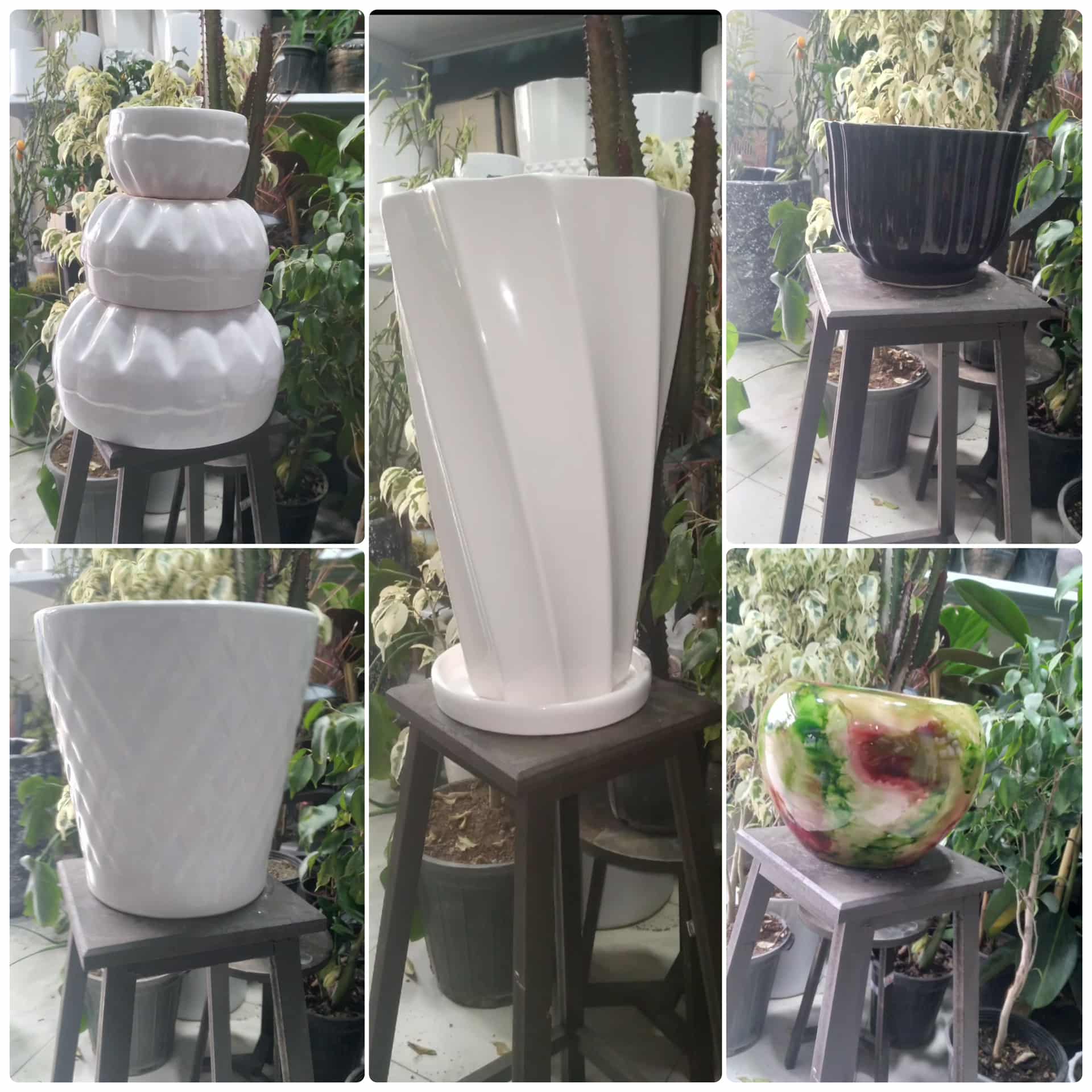 گل فروشی آروین منجیل،گل فروشی آروین در منجیل،مشاهده اطلاعات گل فروشی آروین منجیل در سامانه برترین مشاغل