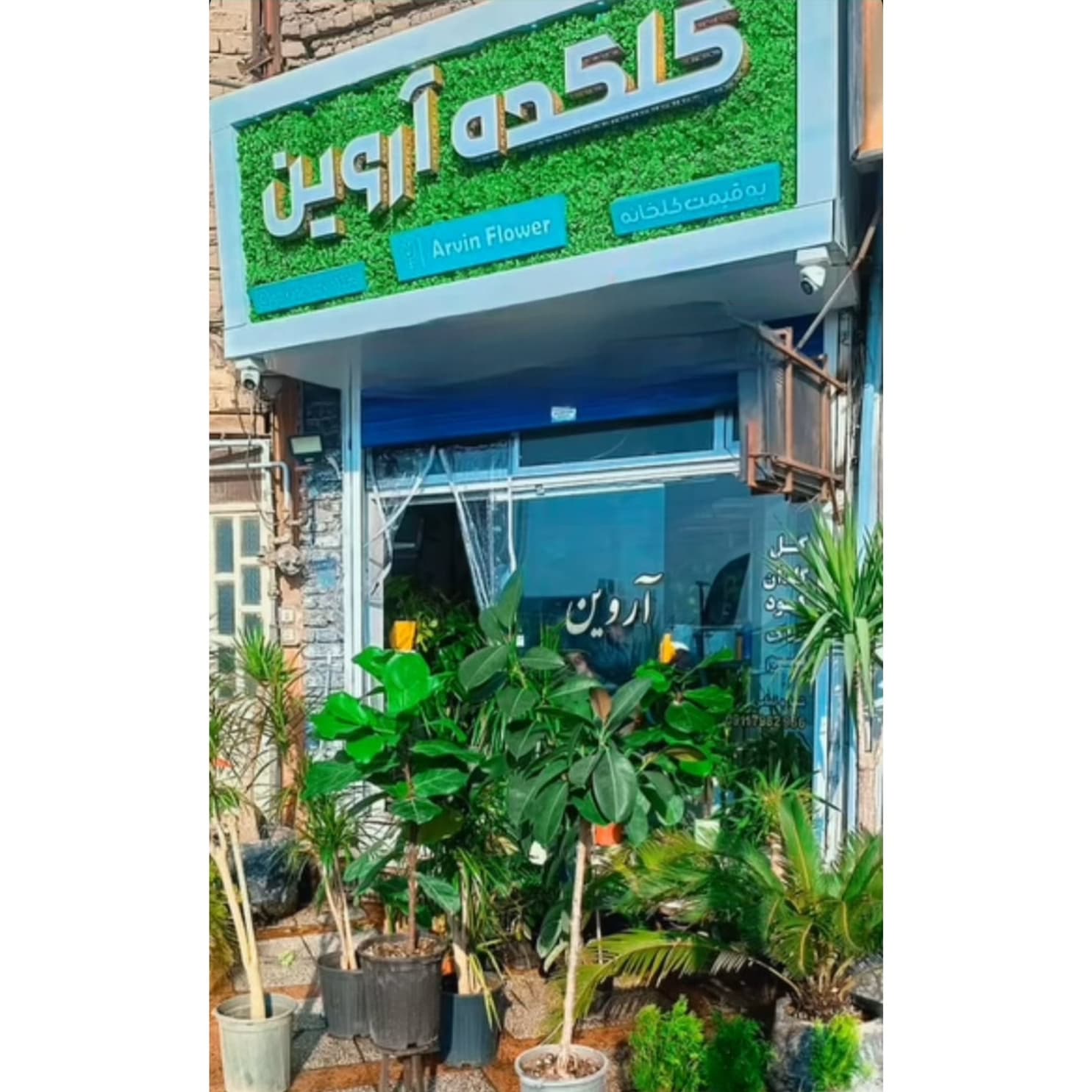 گل فروشی آروین منجیل،گل فروشی آروین در منجیل،مشاهده اطلاعات گل فروشی آروین منجیل در سامانه برترین مشاغل