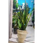 گل فروشی آروین منجیل