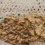 رستوران کباب کوبی لقمه انزلی