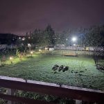 مزرعه گردشگری پالونیا صومعه سرا