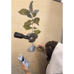 اجرا نقاشی دیواری گروه هنری سایه تهران