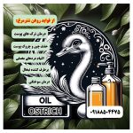 فروشگاه محصولات شترمرغ زاگرس ملایر