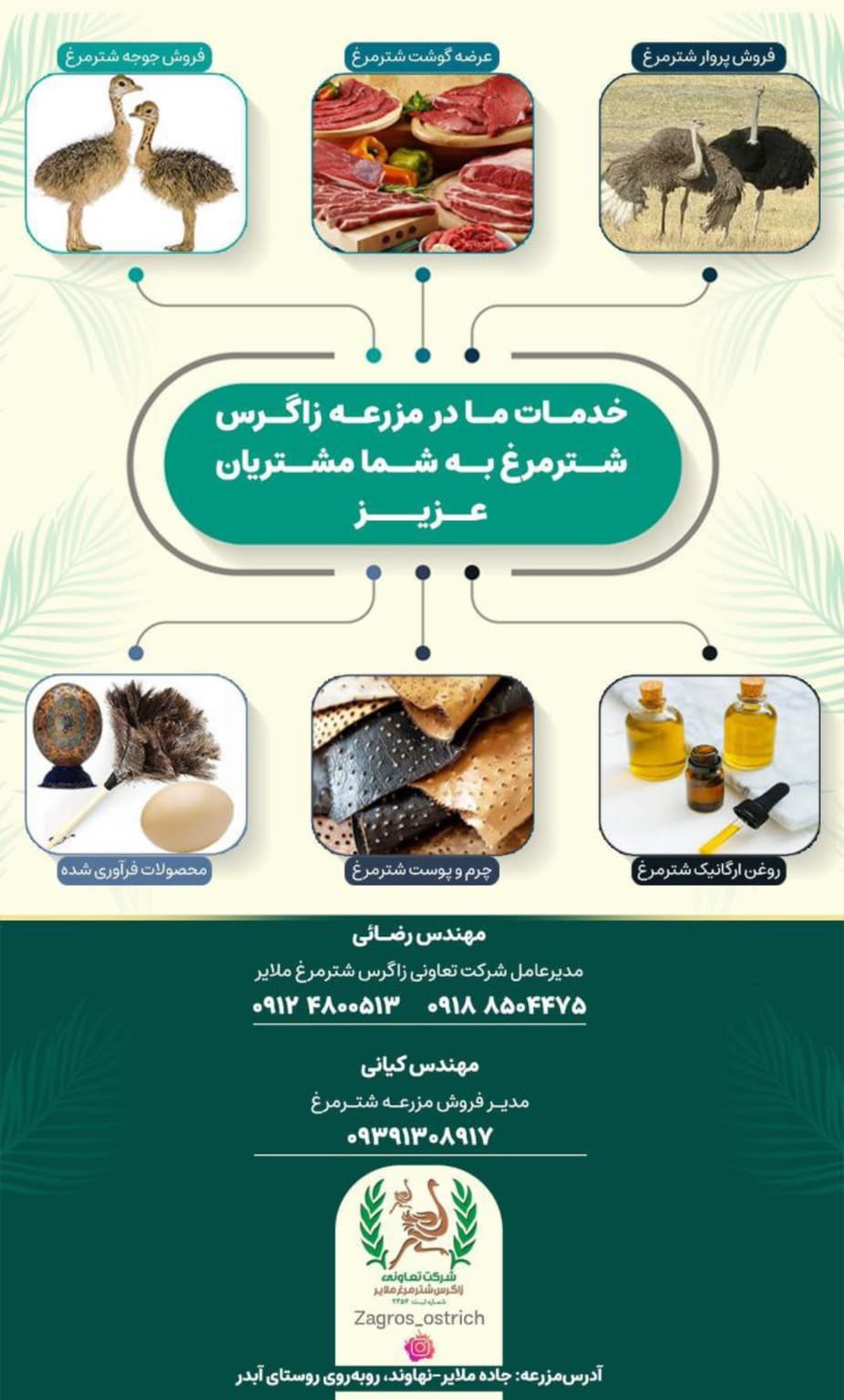 فروشگاه محصولات شترمرغ زاگرس ملایر،فروشگاه محصولات شترمرغ زاگرس در ملایر،مشاهده اطلاعات فروشگاه محصولات شترمرغ زاگرس ملایر در سامانه برترین مشاغل