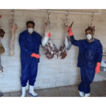 فروشگاه محصولات شترمرغ زاگرس ملایر