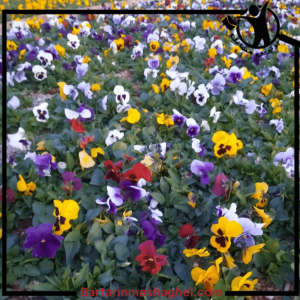 گلخانه گل و گیاه موسوی پاکدشت،گلخانه گل و گیاه موسوی در پاکدشت،مشاهده اطلاعات گلخانه گل و گیاه موسوی پاکدشت در سامانه برترین مشاغل