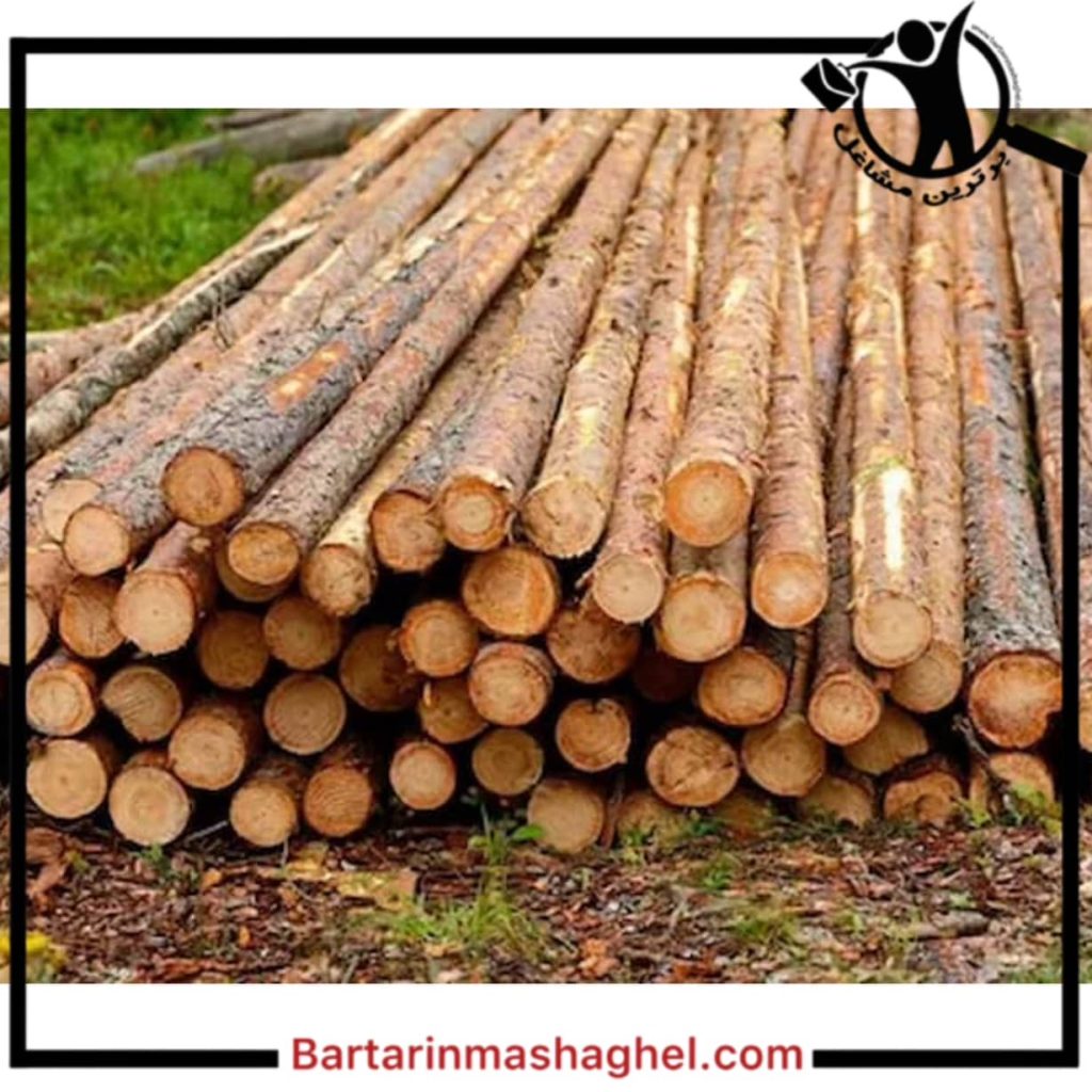 خرید و فروش چوب میلانی ارومیه