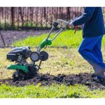 باغبانی زهره وند خنداب