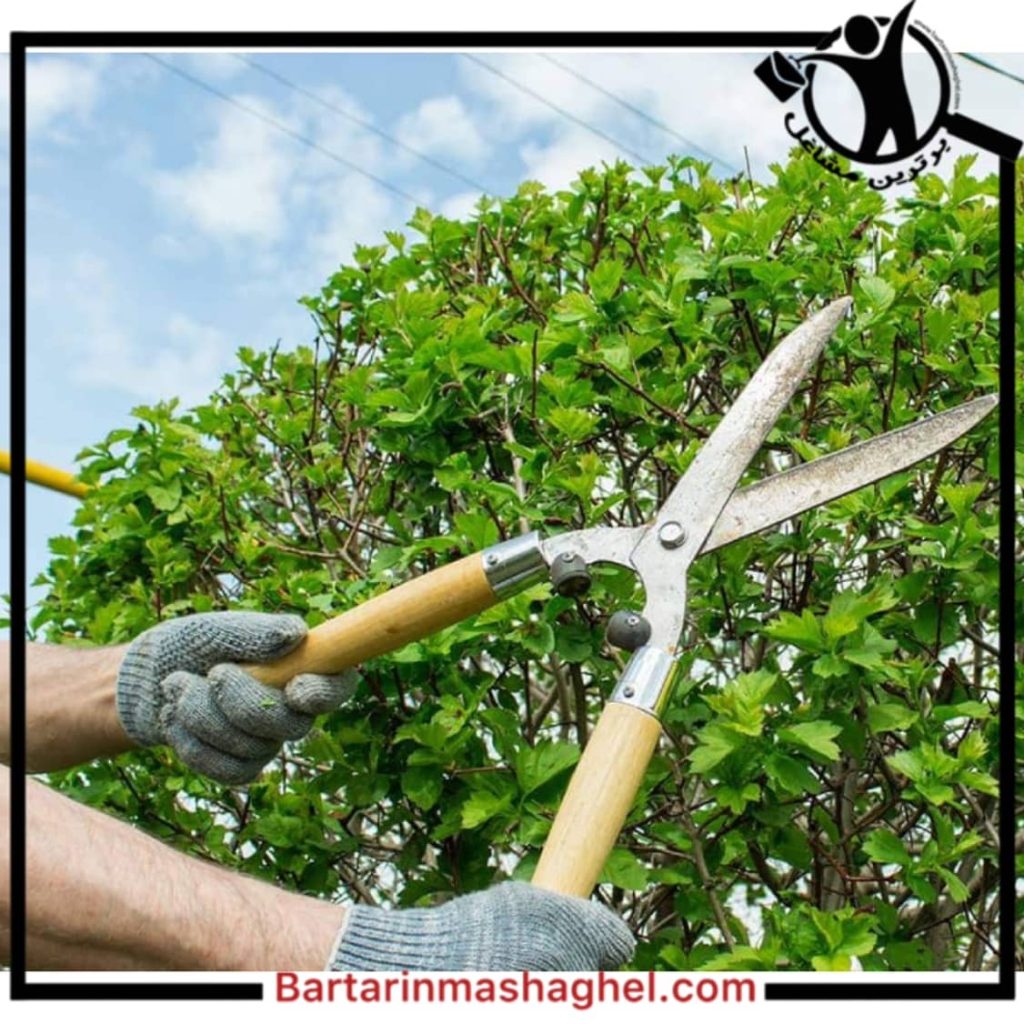 باغبانی زهره وند خنداب