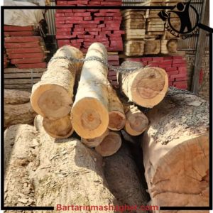 برش درخت خشک و فرسوده ولی زاده تهران،برش درخت خشک و فرسوده ولی زاده در تهران،مشاهده اطلاعات برش درخت خشک و فرسوده ولی زاده تهران در سامانه برترین مشاغل