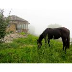 اقامتگاه بومگردی کوهستانی لوتک فیلبند