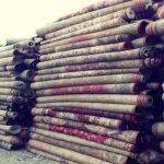 قالیشویی پیشرفته گل سرخ ایرانشهر