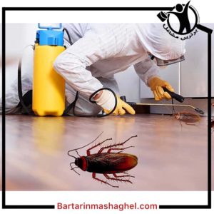 سمپاشی سیار نجاری گرگان،سمپاشی سیار نجاری در گرگان،مشاهده اطلاعات سمپاشی سیار نجاری گرگاندر سامانه برترین مشاغل