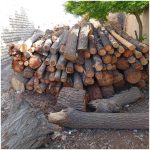 خرید و فروش چوب محمدپور شوشتر