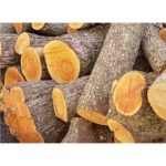 برش درخت خشک و فرسوده ولی زاده تهران