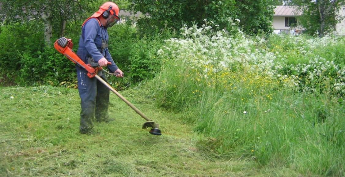 باغبانی زهره وند خنداب،باغبانی زهره وند در خنداب،مشاهده اطلاعات باغبانی زهره وند خنداب در سامانه برترین مشاغل