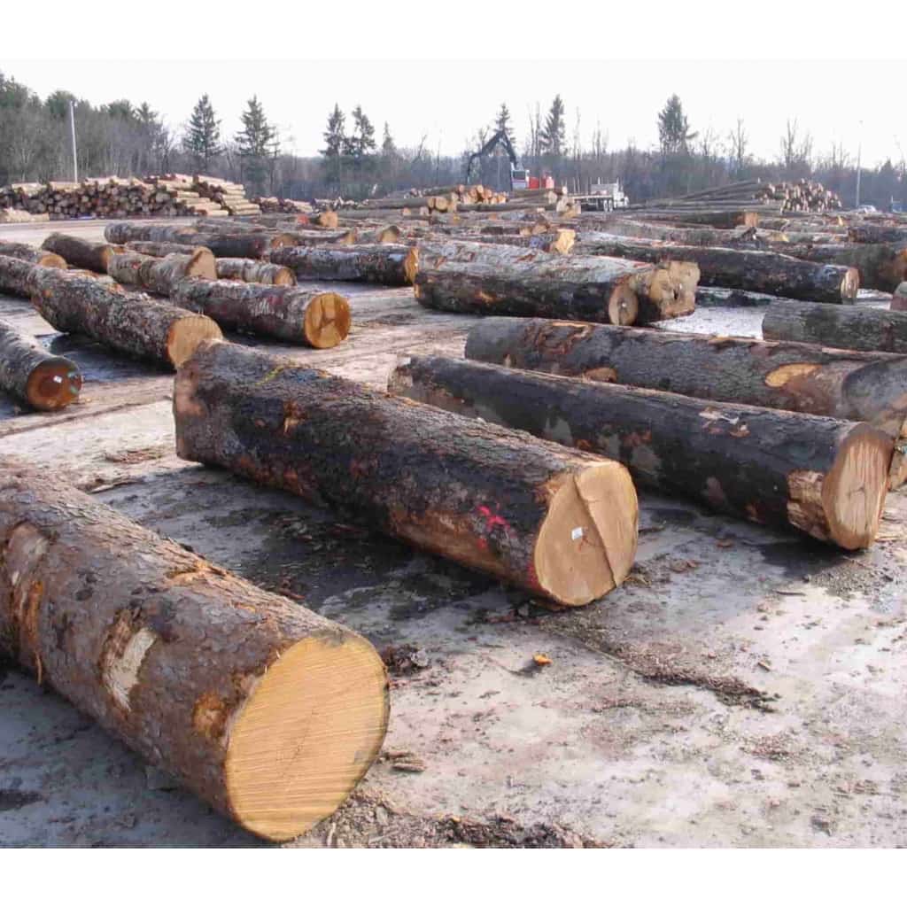 برش درخت خشک و فرسوده ولی زاده تهران،برش درخت خشک و فرسوده ولی زاده در تهران،مشاهده اطلاعات برش درخت خشک و فرسوده ولی زاده تهران در سامانه برترین مشاغل