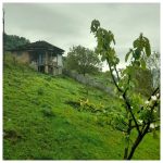 اقامتگاه بومگردی کوهستانی لوتک فیلبند