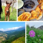 اقامتگاه بومگردی کوهستانی لوتک فیلبند