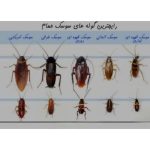 سمپاشی سیار نجاری گرگان