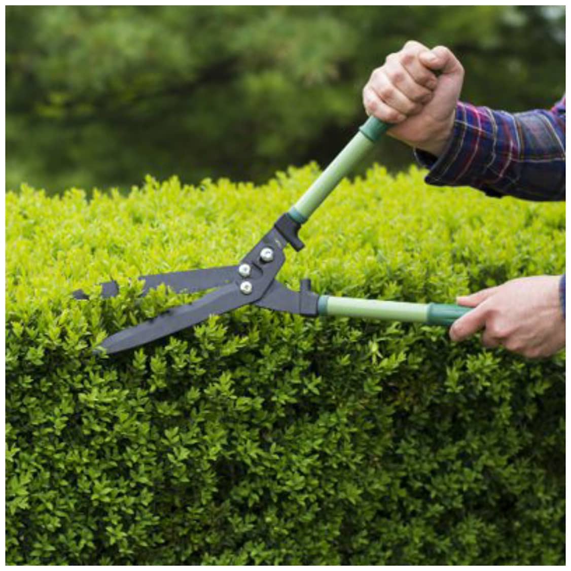 باغبانی زهره وند خنداب،باغبانی زهره وند در خنداب،مشاهده اطلاعات باغبانی زهره وند خنداب در سامانه برترین مشاغل