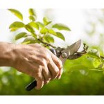 باغبانی زهره وند خنداب