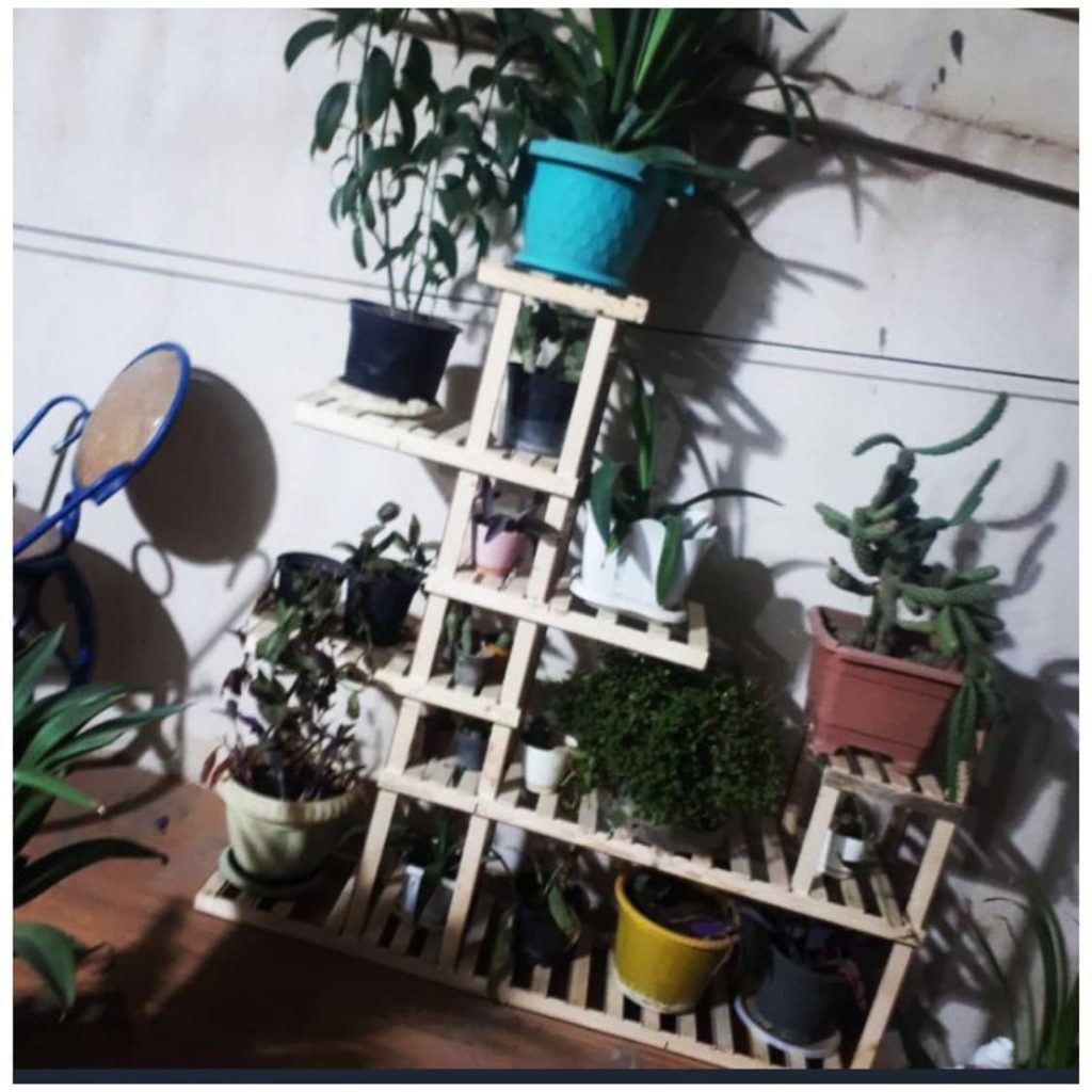 تولیدی رگال چوبی کارهانیا کبیر کرمان