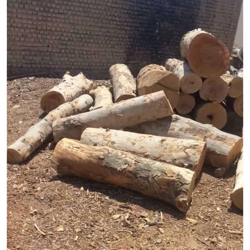 برش درخت خشک و فرسوده ولی زاده تهران،برش درخت خشک و فرسوده ولی زاده در تهران،مشاهده اطلاعات برش درخت خشک و فرسوده ولی زاده تهران در سامانه برترین مشاغل