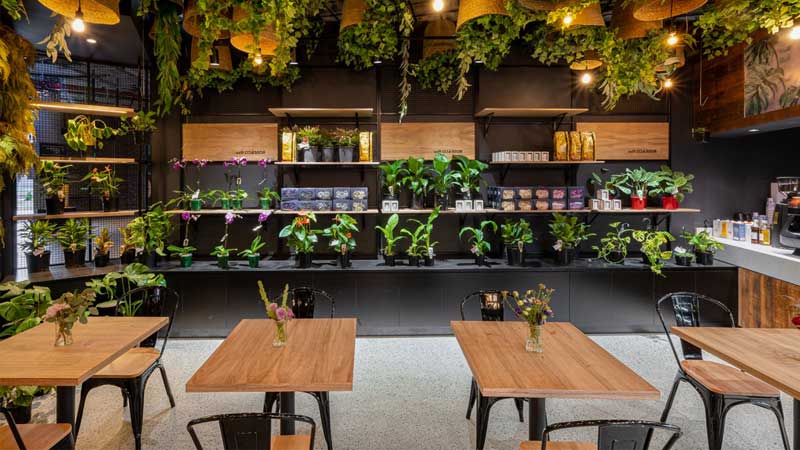 کافه در انزلی،کافه در بندرانزلی،کافه انزلی،کافه بندرانزلی،مشاهده اطلاعات کافه در انزلی در سامانه برترین مشاغل