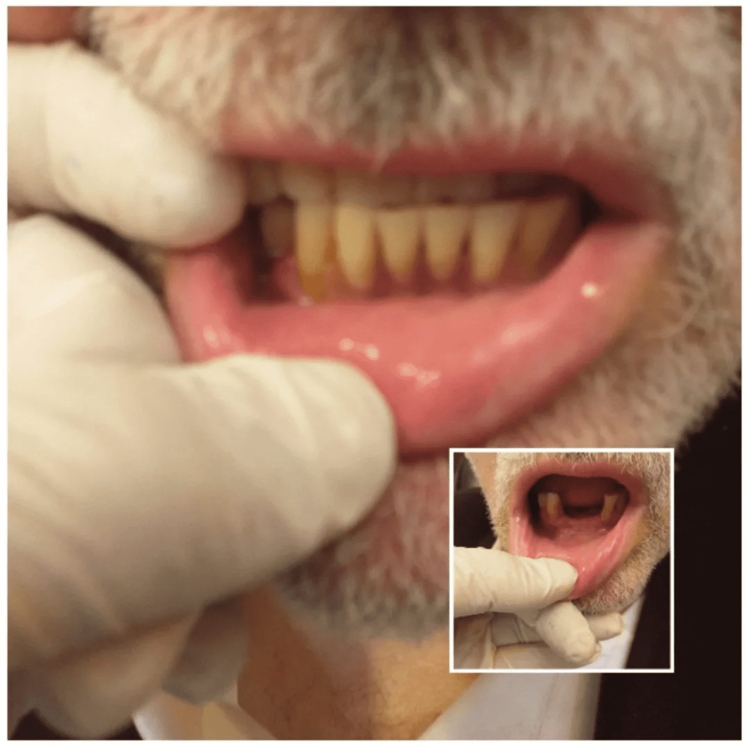 لابراتوار دندانسازی دریا سعادت آباد،لابراتوار دندانسازی دریا در سعادت آباد،مشاهده اطلاعات لابراتوار دندانسازی دریا سعادت آباد در سامانه برترین مشاغل