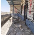 کاشی کاری نارویی سیرجان