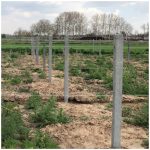 تولید فنس باغی فنس سبز آستانه اشرفیه