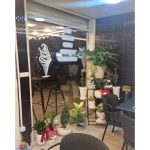 کافه تلخ و شیرین بندرانزلی