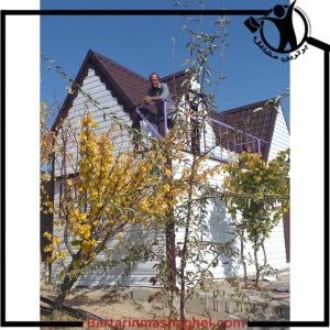 ساخت ویلا پیش ساخته مدرن ستاره دنباله دار درخشان ساری،ساخت ویلا پیش ساخته مدرن ستاره دنباله دار درخشان در ساری،مشاهده اطلاعات ساخت ویلا پیش ساخته مدرن ستاره دنباله دار درخشان ساری در سامانه برترین مشاغل