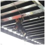 کار در ارتفاع و راپل جمشید ملایر