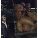 پخش عمده گیاهان دارویی پرتقال داراب