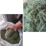 پخش عمده گیاهان دارویی پرتقال داراب