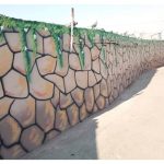دیوار نویسی بخشایش شهریار