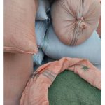 پخش عمده گیاهان دارویی پرتقال داراب